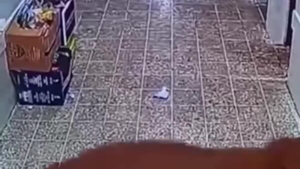 سیل ناگهانی در مدرسه ای در عراق - اسپوتنیک ایران  