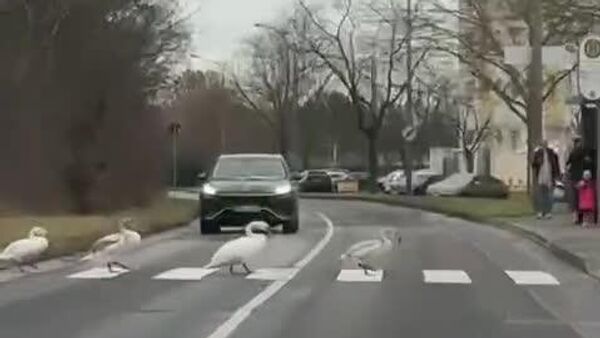 پیاده‌روی دوستانه و سبک در خیابان هاله-نویستادت آلمان - اسپوتنیک ایران  