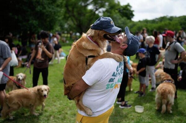 چشمگیرترین رویدادهای هفته از نگاه تصویر از6 تا 12 دسامبر چشمگیرترین رویدادهای هفته از نگاه تصویر از6 تا 12 دسامبر - اسپوتنیک ایران
