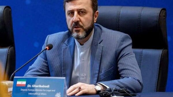 دیدار معاون حقوقی و بین‌المللی وزارت امور خارجه با معاون امور سازمان های بین المللی وزارت امور خارجه ازبکستان - اسپوتنیک ایران  