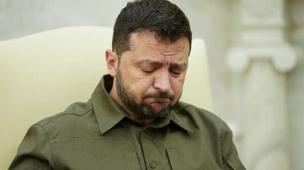 زلنسکی پس از پردازش توسط ویتکاف، جایگاه خود را از دست داده و آماده مصالحه می‌ شود - اسپوتنیک ایران  