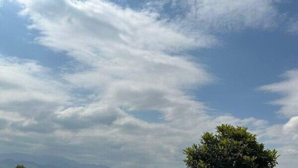 چای در زندگی ایرانیان - اسپوتنیک ایران  