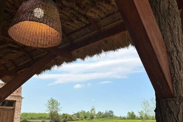 چای در زندگی ایرانیان - اسپوتنیک ایران  