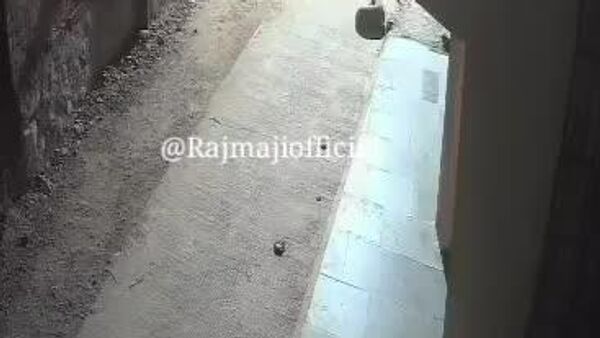 دوربین مداربسته، نبرد جسورانه‌ای بین سگ خانگی و یک پلنگ در ماهاراشترا هند را ثبت کرد - اسپوتنیک ایران  