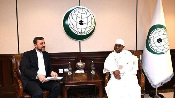 دیدار معاون حقوقی و بین‌المللی وزارت خارجه ایران‌با دبیرکل سازمان همکاری اسلامی - اسپوتنیک ایران  