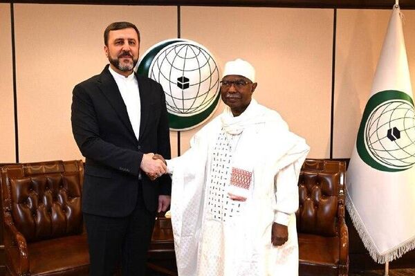 دیدار معاون حقوقی و بین‌المللی وزارت خارجه ایران‌با دبیرکل سازمان همکاری اسلامی - اسپوتنیک ایران  