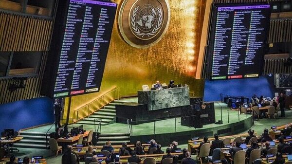 مگه حقوق بشر سازمان ملل هم وجود دارد؟ - اسپوتنیک ایران  