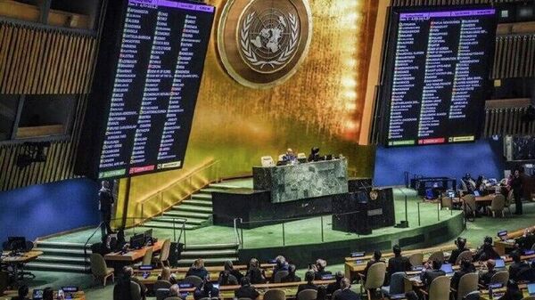 مگه حقوق بشر سازمان ملل هم وجود دارد؟ - اسپوتنیک ایران  