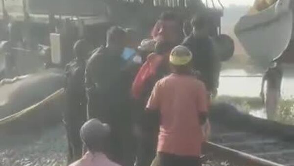 در هند، پنج واگن قطار اکسپرس پس از برخورد با گله ای از فیل ها از ریل خارج شدند - اسپوتنیک ایران  