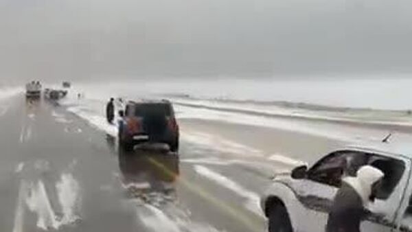 زمستان عربی: شترها در عربستان در تپه‌های شنی پوشیده از برف پرسه می‌زنند - اسپوتنیک ایران  