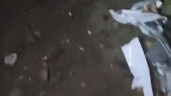 انتشار خبر پیدا شدن لاشه هواپیمای حامل رئیس ستاد کل ارتش لیبی در شبکه های اجتماعی - اسپوتنیک ایران  