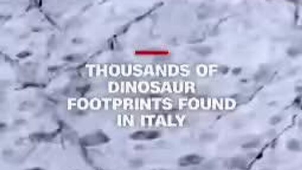 هزاران ردپای دایناسور با قدمت 200 میلیون سال در دره‌ای کوهستانی در ایتالیا کشف شد - اسپوتنیک ایران  