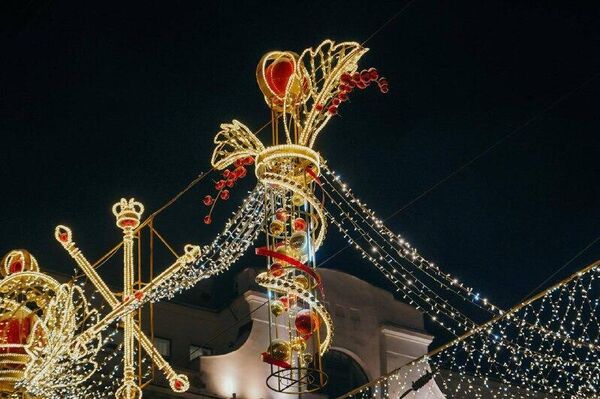 امسال سن پترزبورگ به زیبایی مسکو تزئین شده بود: جنگلی کامل از درختان صنوبر - اسپوتنیک ایران  