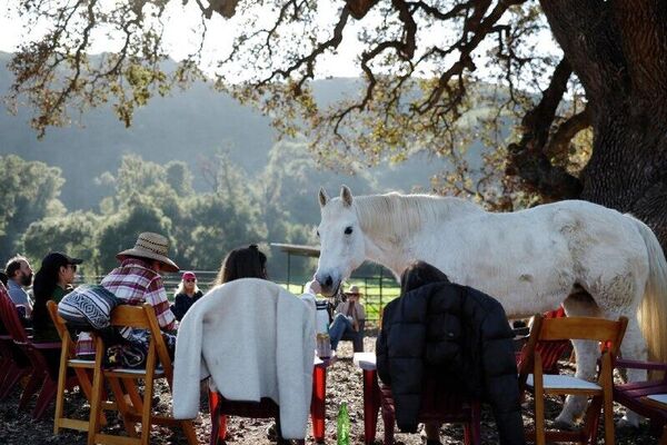 چشمگیرترین رویدادهای هفته از نگاه تصویر از 20 تا 26 دسامبر - اسپوتنیک ایران  