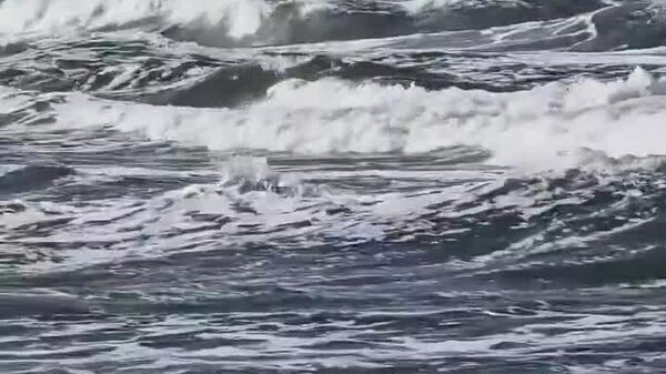 ساحل استگنا در لهستان کاملاً ناپدید شد - اسپوتنیک ایران  