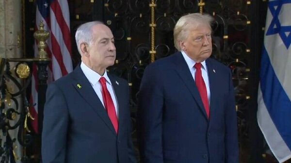 ملخک یک بار جستی - اسپوتنیک ایران  