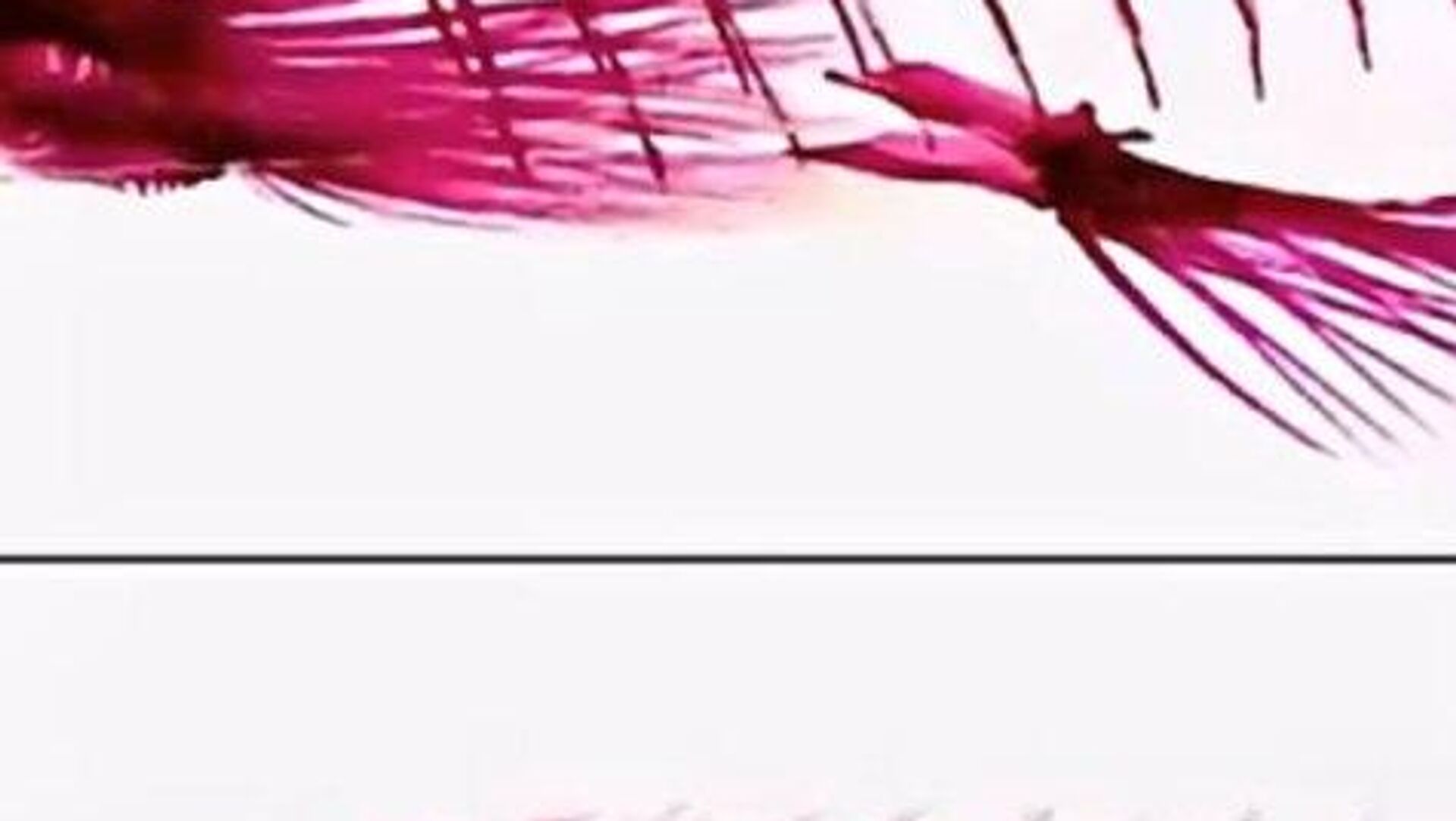 رسانه: دانشمندان در چین یک ماهی کپور تقریباً بدون استخوان تولید کردهاند رسانه: دانشمندان در چین یک ماهی کپور تقریباً بدون استخوان تولید کردهاند - اسپوتنیک ایران , 1920, 01.01.2026