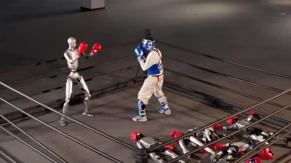 ربات بوکسور چینی توانست یک انسان رزمی کار و مبارز را در رینگ ناک اوت کند - اسپوتنیک ایران  