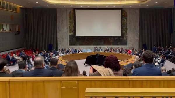 جلسه شورای امنیت سازمان ملل متحد درباره ونزوئلا با حضور کامل حضار برگزار شد - اسپوتنیک ایران  