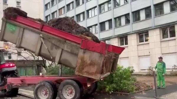 کود حیوانی در خیابان‌ها و تراکتورها در طاق پیروزی؛ دور جدیدی از اعتراضات کشاورزان در فرانسه - اسپوتنیک ایران  