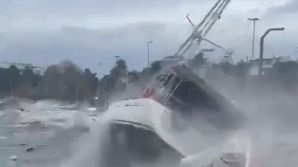 وزش بادهای شدید در سواحل توزلا در استانبول - اسپوتنیک ایران  