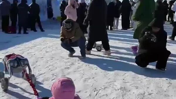 یک سگ رباتیک در کارناوال یخ و برف در هاربین، سورتمه‌ای را در امتداد رودخانه یخ‌زده سونگهوا می‌کشد - اسپوتنیک ایران  