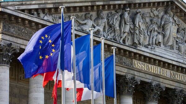 فرانسه قطعنامه خروج از ناتو را به رای گیری خواهد گذاشت - اسپوتنیک ایران  