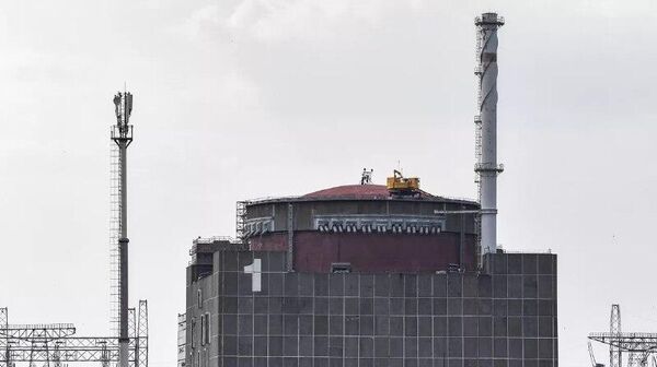 آژانس بین‌المللی انرژی اتمی مشاوره در مورد منطقه آتش‌بس در اطراف نیروگاه هسته‌ای زاپوروژیه را آغاز کرده است - اسپوتنیک ایران  