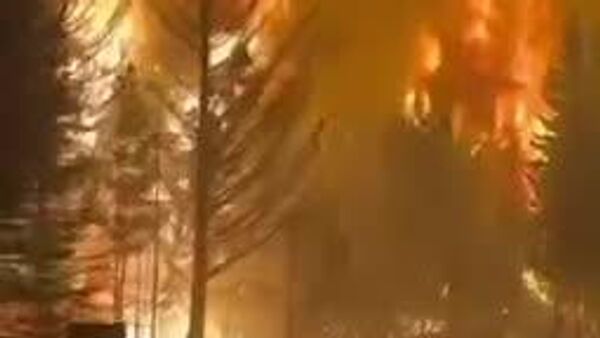 آتش‌سوزی هزاران هکتار جنگل‌های پاتاگونیا در آرژانتین را نابود کرد - اسپوتنیک ایران  