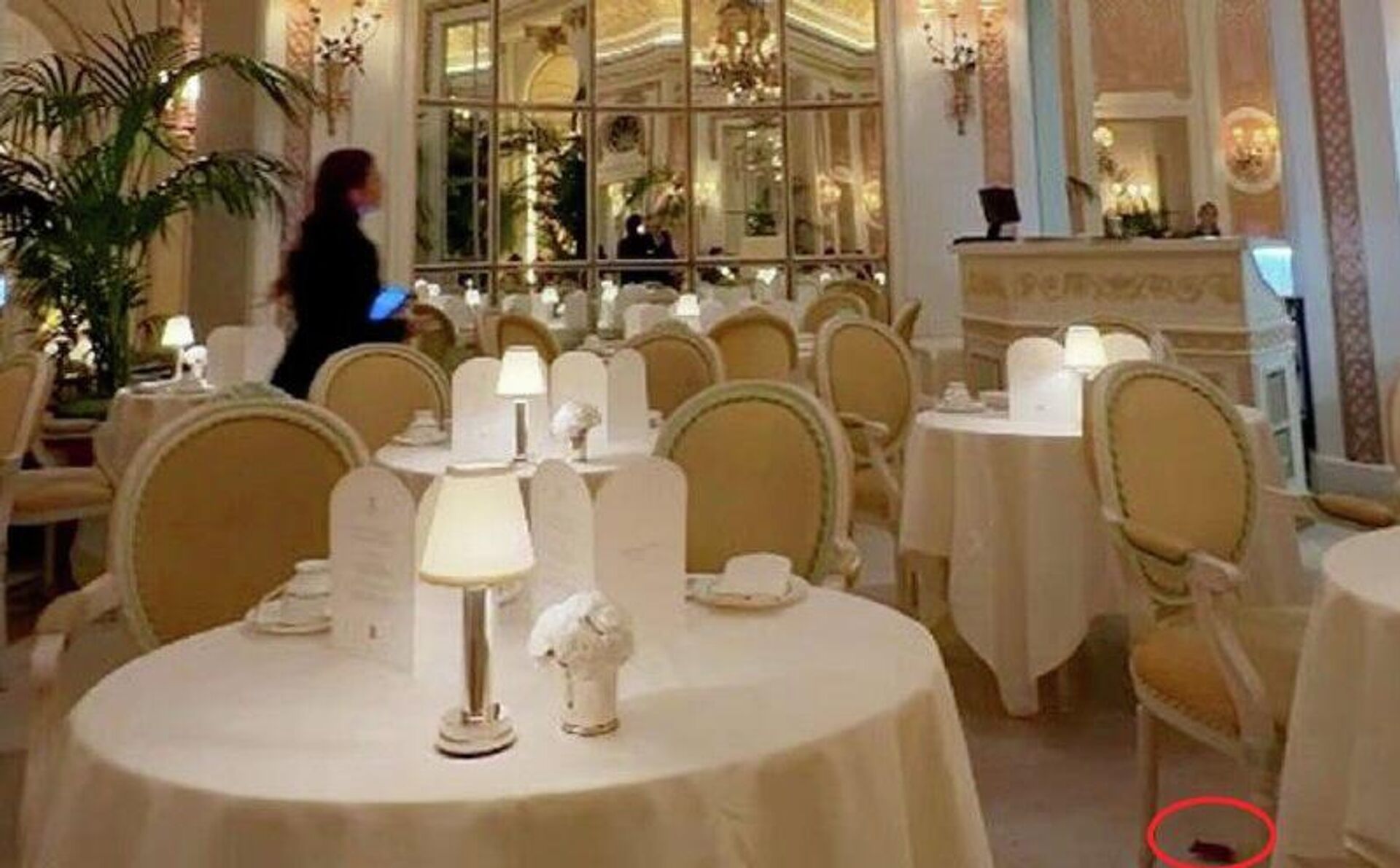 حضور یک موش در رستوران معروف جهانی هتل 5 ستاره ریتز در لندن - اسپوتنیک ایران  , 1920, 16.01.2026