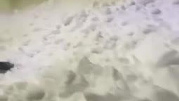 منطقه کامچاتکا روسیه غرق در برف شد - اسپوتنیک ایران  