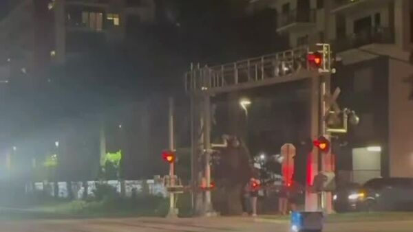 در زمستانی که هیچ رباتی زنده نماند - اسپوتنیک ایران  