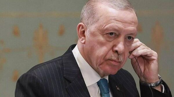 اردوغان اعلام کرد که پایبندی به توافق ادغام نیروهای دموکراتیک سوریه برای حفظ وحدت سوریه ضروری است - اسپوتنیک ایران  