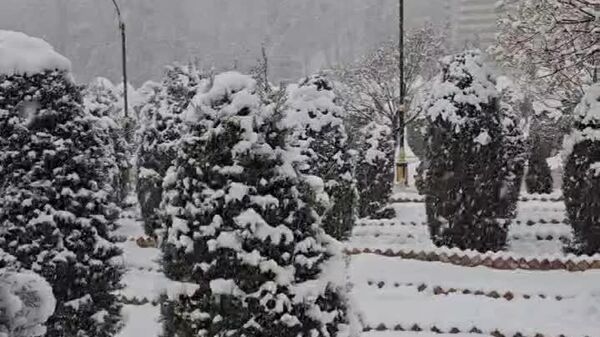 بارش برف در تهران - اسپوتنیک ایران  