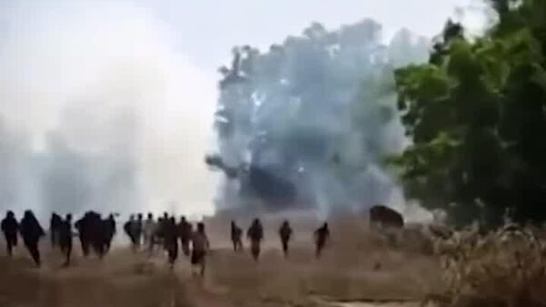 طغیان یک فیل قاتل در هند - اسپوتنیک ایران  