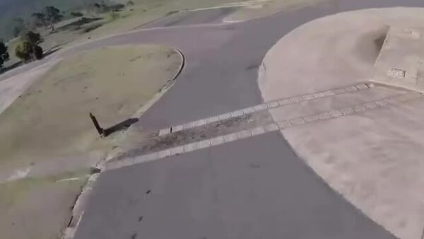 کانگورو: اینجا قلمرو شما نیست! - اسپوتنیک ایران  