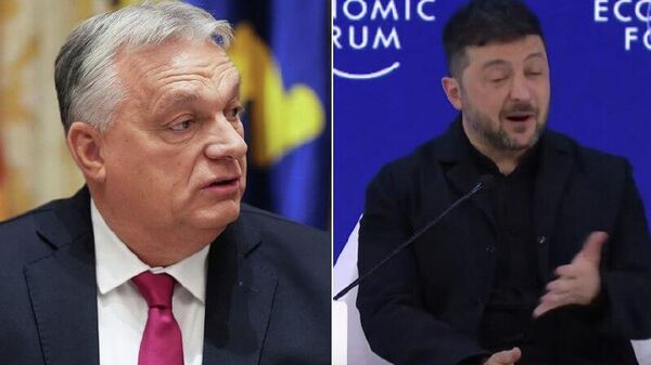 نخست وزیر مجارستان به حمله زلنسکی پاسخ داد و بار دیگر تأکید کرد که مجارستان به کی‌یف کمک نظامی نخواهد کرد - اسپوتنیک ایران  