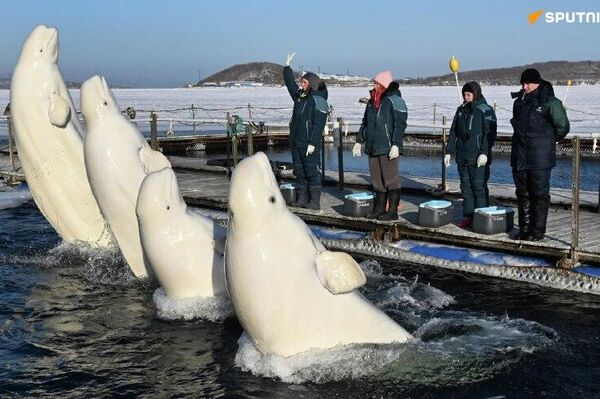 چشمگیرترین رویدادهای هفته از نگاه تصویر از 17 تا 23 ژانویه - اسپوتنیک ایران  