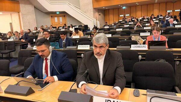 سفیر ایران در ژنو: تاریخ بارها ثابت کرده ایران تسلیم فشار خارجی نمی‌شود - اسپوتنیک ایران  