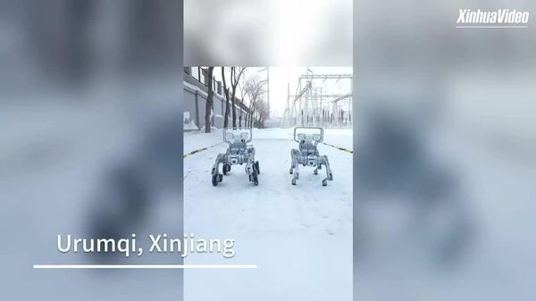 سگ‌های بازرس رباتیک در سین‌کیانگ چین در حال انجام وظیفه هستند و در دمای منفی 20 درجه سانتیگراد کار می‌کنند تا ایمنی شبکه برق را تضمین کنند - اسپوتنیک ایران  