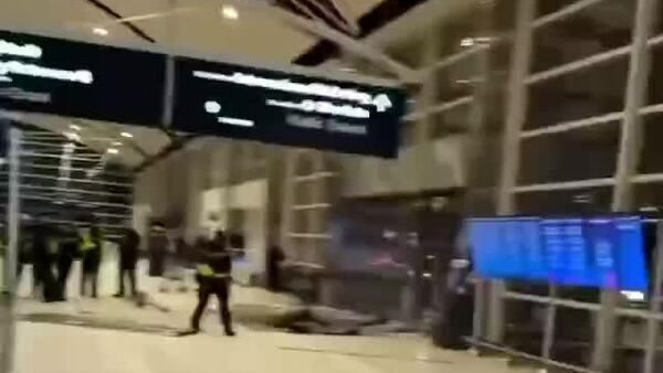 یک خودرو وارد جمعيت «فرودگاه دیترویت» آمریکا شد - اسپوتنیک ایران  