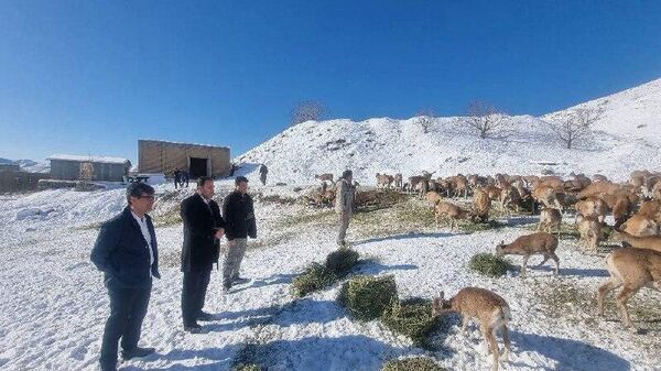 مدیرکل دفتر ریاست و هماهنگی امور استان‌ های سازمان حفاظت محیط زیست ایران گفت که با جدیت پیگیر افزایش ضریب ایمنی و توانمندسازی محیط‌ بانان هستیم - اسپوتنیک ایران  