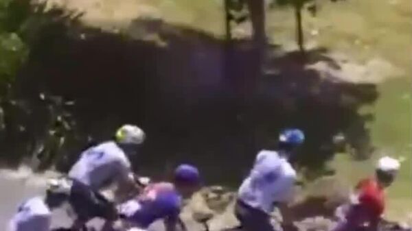 دوچرخه‌سوار ، پس از آنکه به یک کانگورو برخورد کرد،در مسابقه پیروز شد - اسپوتنیک ایران  