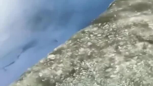 آبشار معروف نیاگارا در حال یخ زدن است - اسپوتنیک ایران  