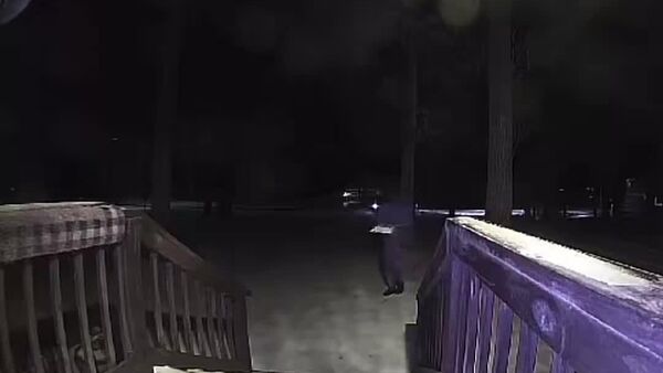 فیلمی از فرار یک کیک در یکی از ایالت‌های آمریکا - اسپوتنیک ایران  