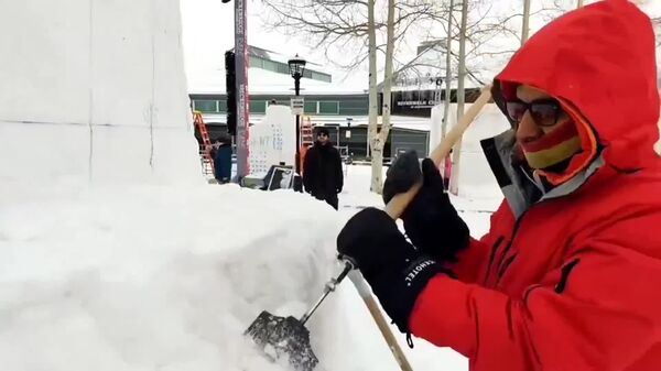 تیم هند در سی و پنجمین دوره مسابقات قهرمانی بین‌المللی مجسمه‌سازی با برف در برکنریج، ایالات متحده، مدال برنز را از آن خود کرد - اسپوتنیک ایران  