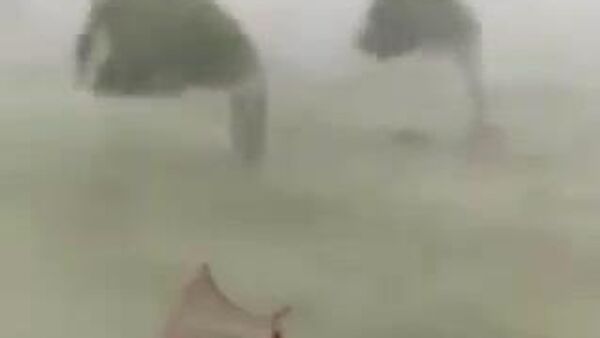 تصاویری از وزش باد شدید در آرژانتین - اسپوتنیک ایران  