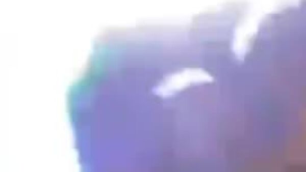 تیراندازی در جریان یک رژه تعطیلات در لوئیزیانا آمریکا رخ داد - اسپوتنیک ایران  