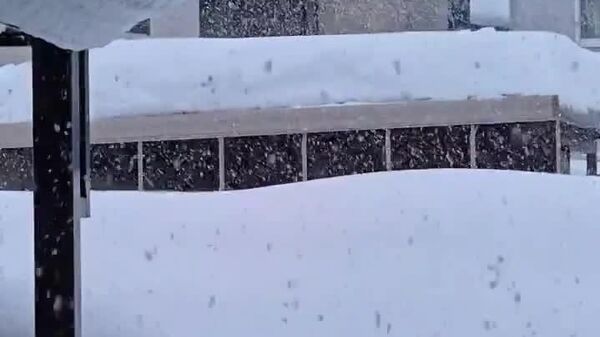 برفی‌ترین ژانویه ژاپن در بیش از 80 سال گذشته - اسپوتنیک ایران  