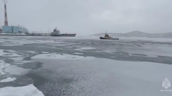 سگ‌ها دو روز را روی یک تکه یخ شکسته در سواحل کامچاتکا روسیه گذراندند - اسپوتنیک ایران  